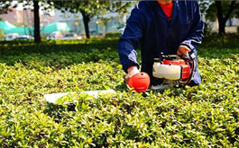 綠籬修剪機齒輪